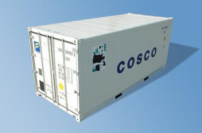 20ft standard reefer container